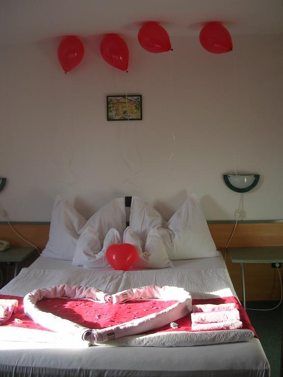 Alpokalja Panzio Etterem Bed & Breakfast คือแซก ห้อง รูปภาพ